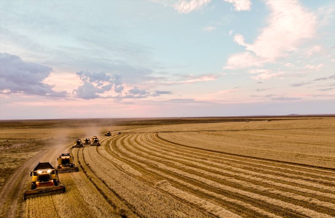 Konya’nın devasa tarlaları kuraklığa avantaj sağladı! Verim şaşırttı 6